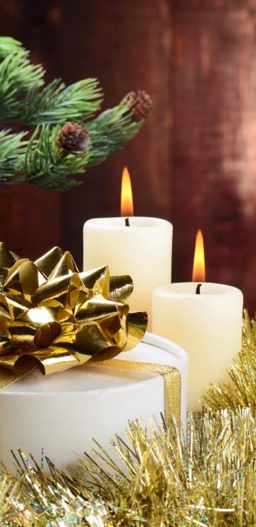 Image Christmas Day, new year, tree, christmas decoration, fir