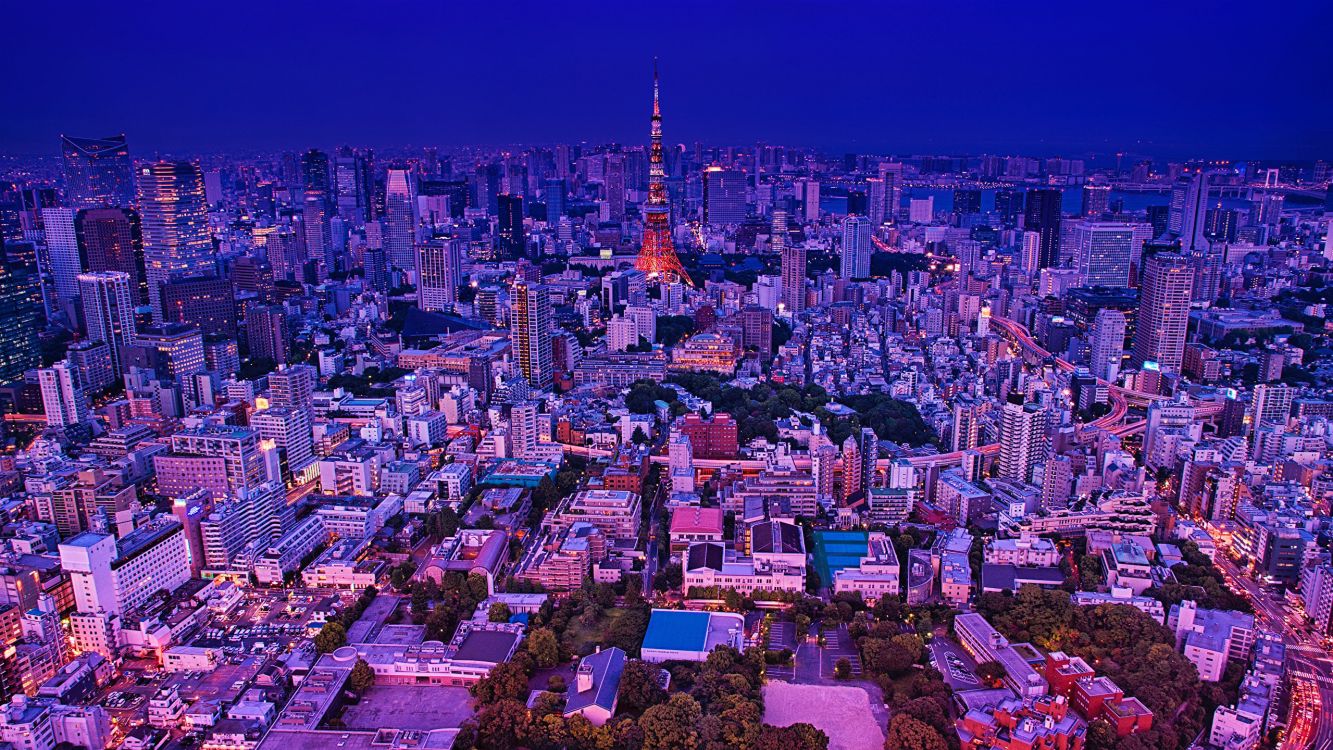 东京, 东京塔, 城市, 城市景观, 大都会 壁纸 2560x1440 允许