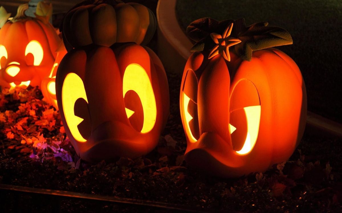 Halloween, Calabaza, Calabaza de Invierno, Cucurbita, Talla. Wallpaper in 3840x2400 Resolution