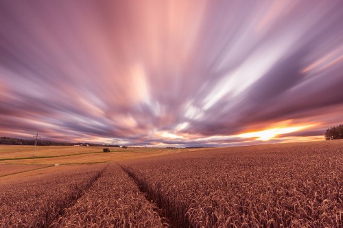 Image brown field under blue sky during daytime