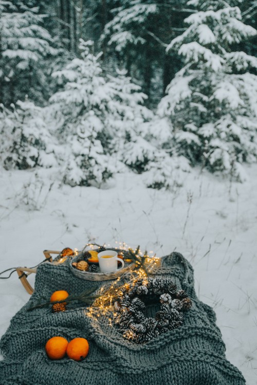 Image black and white floral textile on snow covered ground