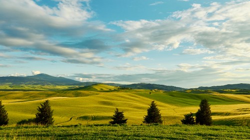 Image green grass field under cloudy sky during daytime