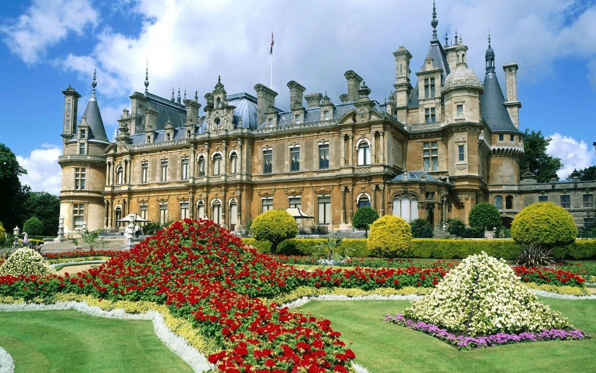 Flores Rojas Cerca Del Edificio de Hormigón Marrón Durante el Día. Wallpaper in 2560x1600 Resolution