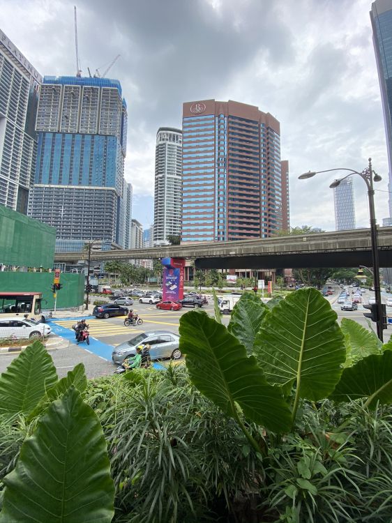 tower block, leaf, cityscape, Commercial building, building