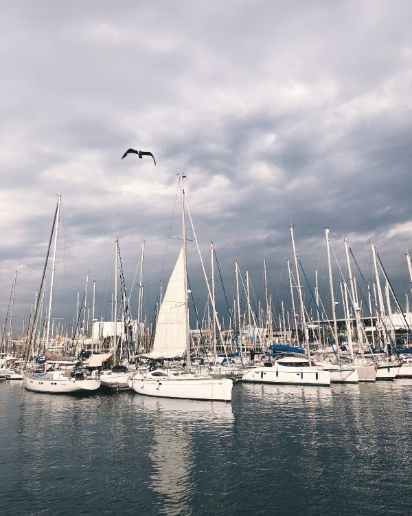 Marina, Mástil, Agua, Barco, Velero. Wallpaper in 3024x3780 Resolution