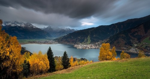 Image green and yellow trees near lake under cloudy sky during daytime