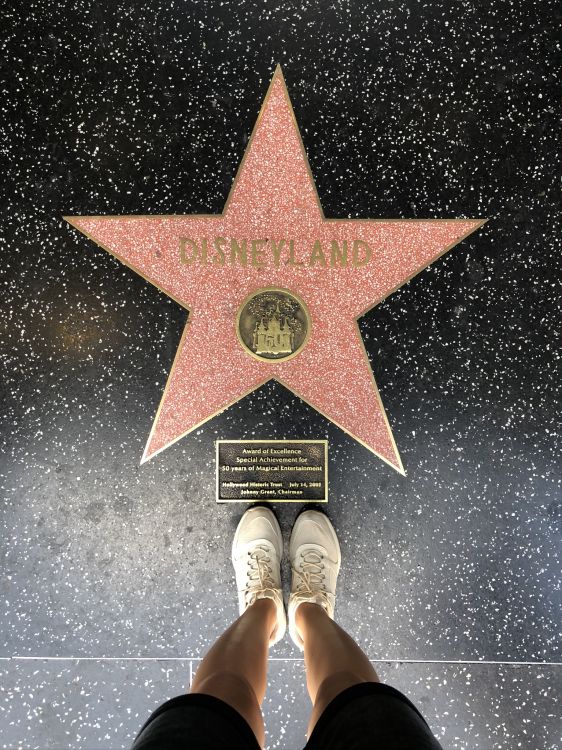 Avenida de Las Estrellas, Hollywood, Bandera, Bandera de Chile, Estados Unidos. Wallpaper in 1536x2048 Resolution