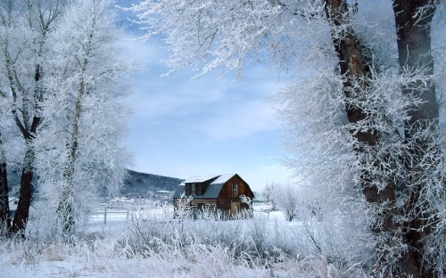 Image brown wooden house on snow covered ground during daytime