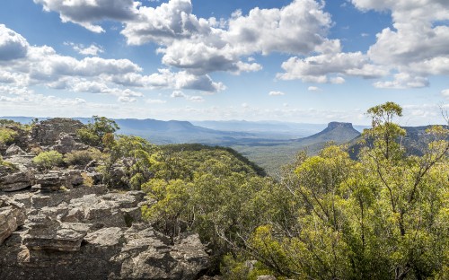 Image green trees on mountain under white clouds and blue sky during daytime