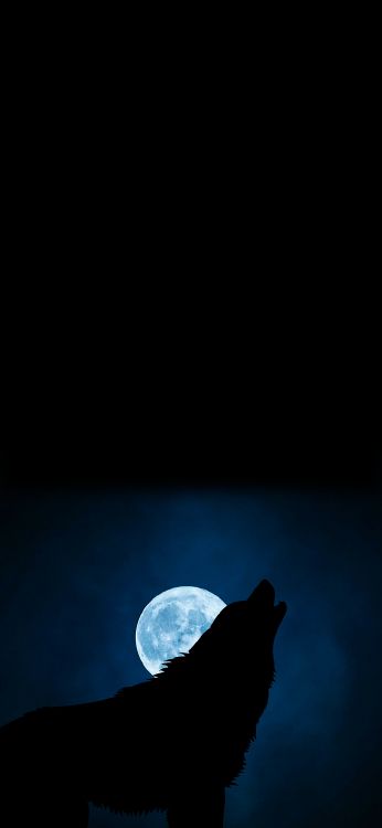 Luna, Ambiente, Azul, Negro, Azure. Wallpaper in 1080x2340 Resolution