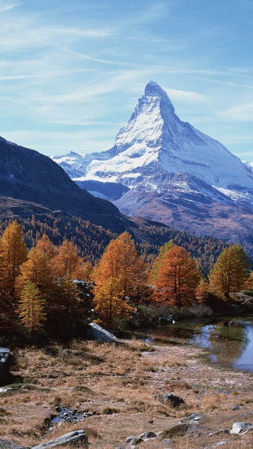 Image green and brown trees near lake and mountain under blue sky during daytime