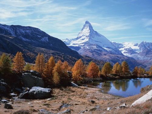 Image green and brown trees near lake and mountain under blue sky during daytime