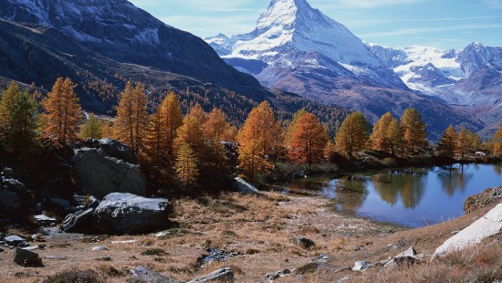 Image green and brown trees near lake and mountain under blue sky during daytime