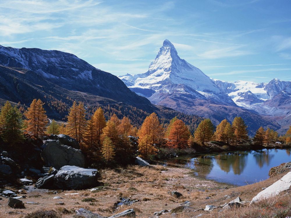 green and brown trees near lake and mountain under blue sky during daytime