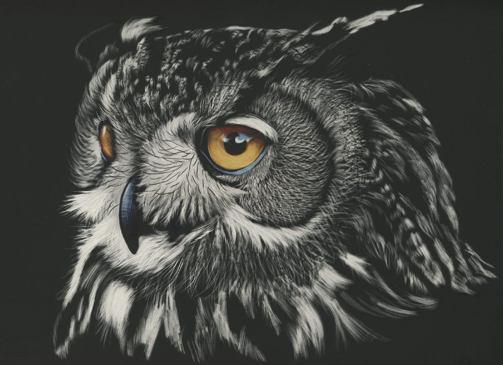 Peinture de Hibou Noir et Blanc. Wallpaper in 3503x2543 Resolution