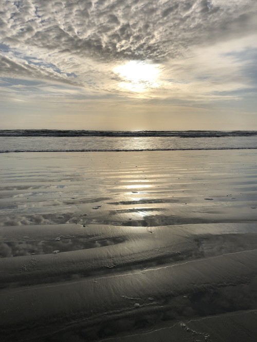 Image horizon, Mudflat, water, fluid, liquid