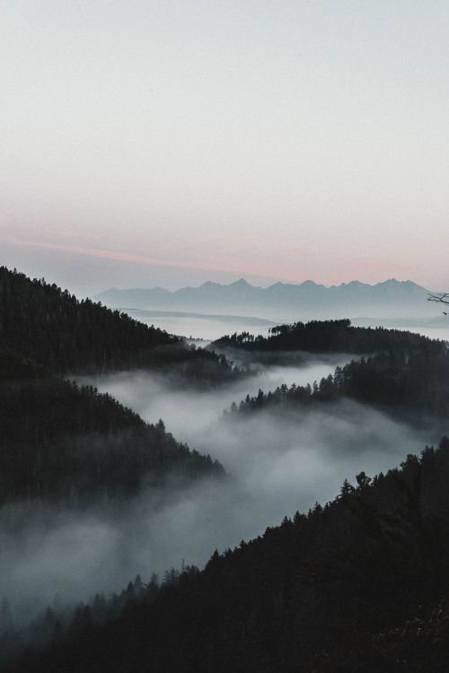 Wasser, Nebel, Morgen, Naturlandschaft, Cloud. Wallpaper in 4000x6000 Resolution