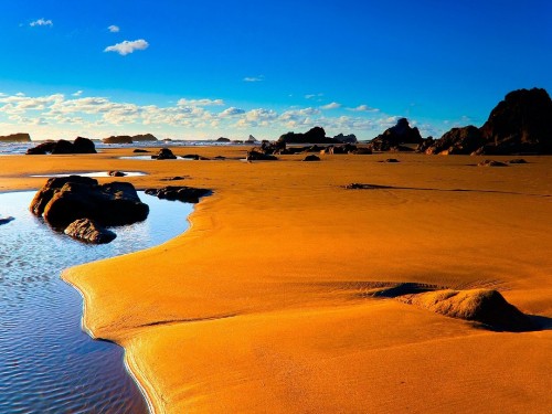 Image brown sand near body of water during daytime