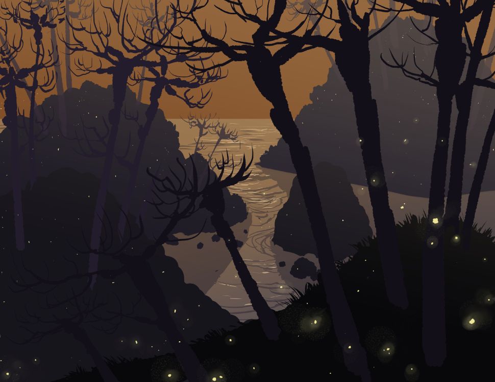 Silhouette de Personne Debout Sur Une Branche D'arbre Pendant le Coucher du Soleil. Wallpaper in 6600x5100 Resolution