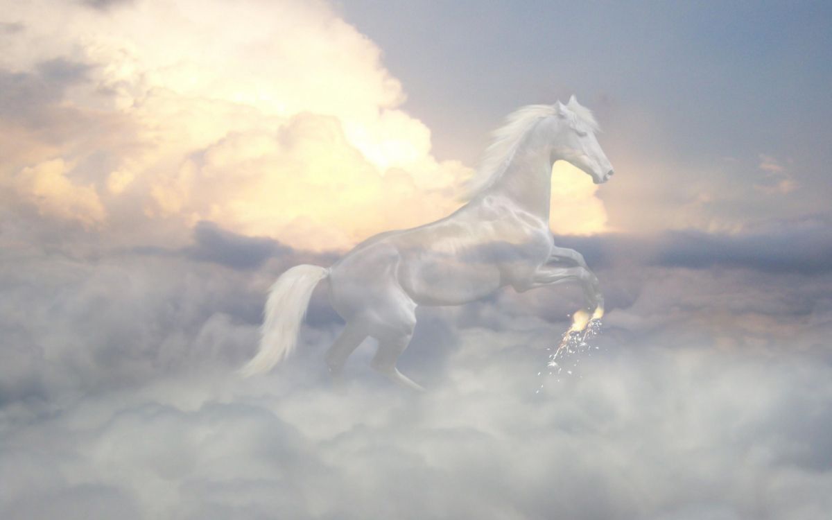 white horse running on clouds