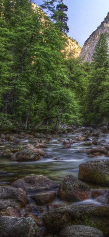 Image green trees near river during daytime