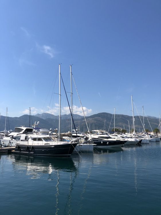 Marina, Voile, Yacht, Mât, Corps de L'eau. Wallpaper in 1536x2048 Resolution