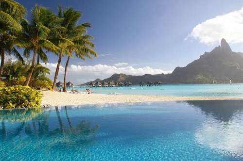 Image green palm tree near body of water during daytime