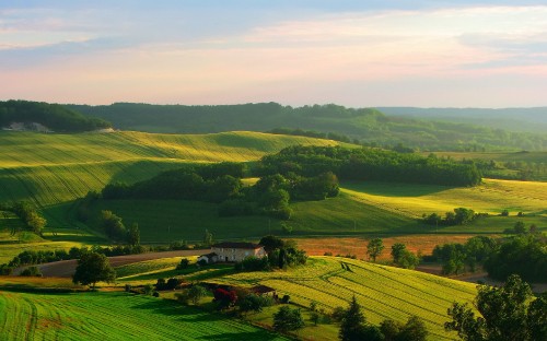 Image green grass field under white sky during daytime