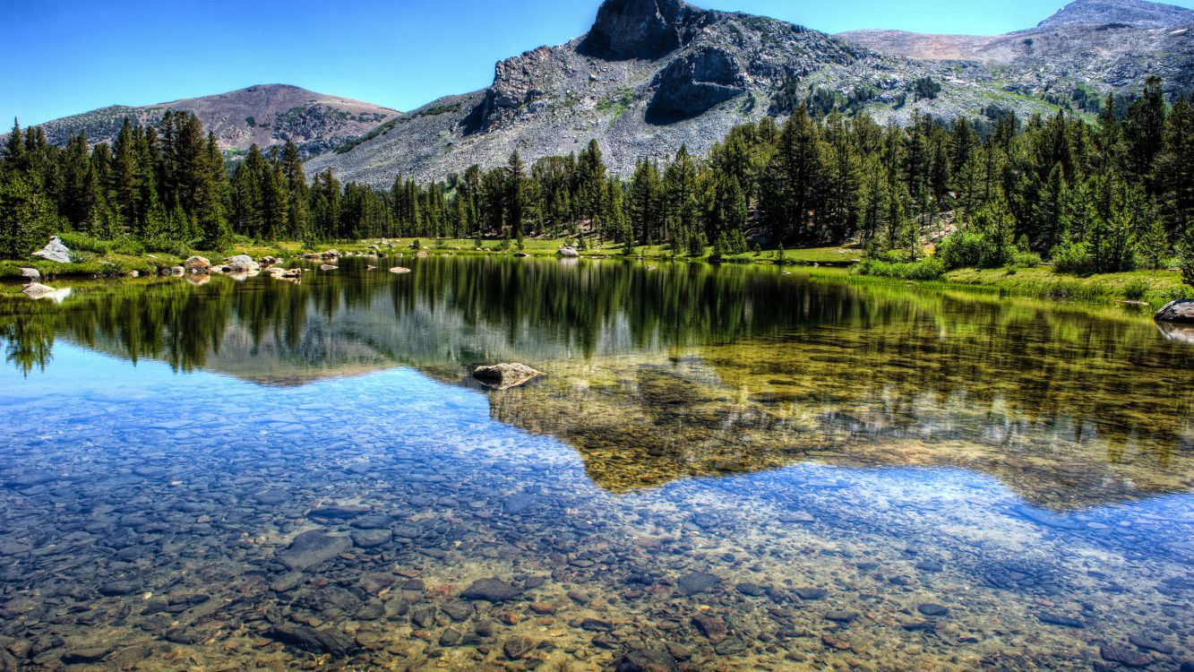 Árboles Verdes Cerca Del Lago Durante el Día. Wallpaper in 2560x1440 Resolution