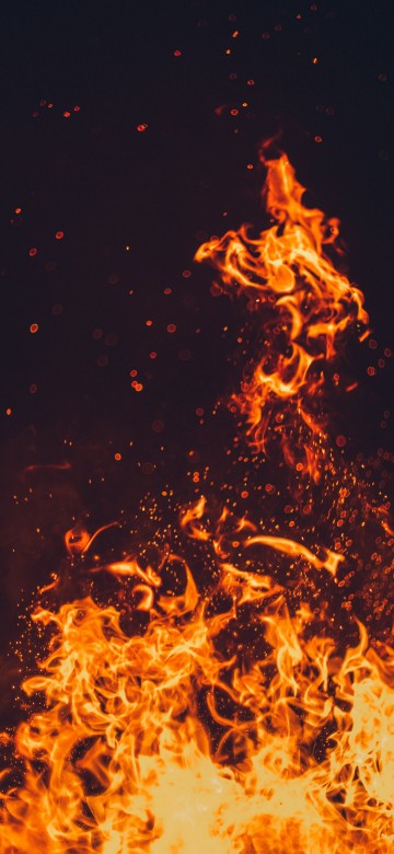 Image fire, flame, spark, bonfire, heat