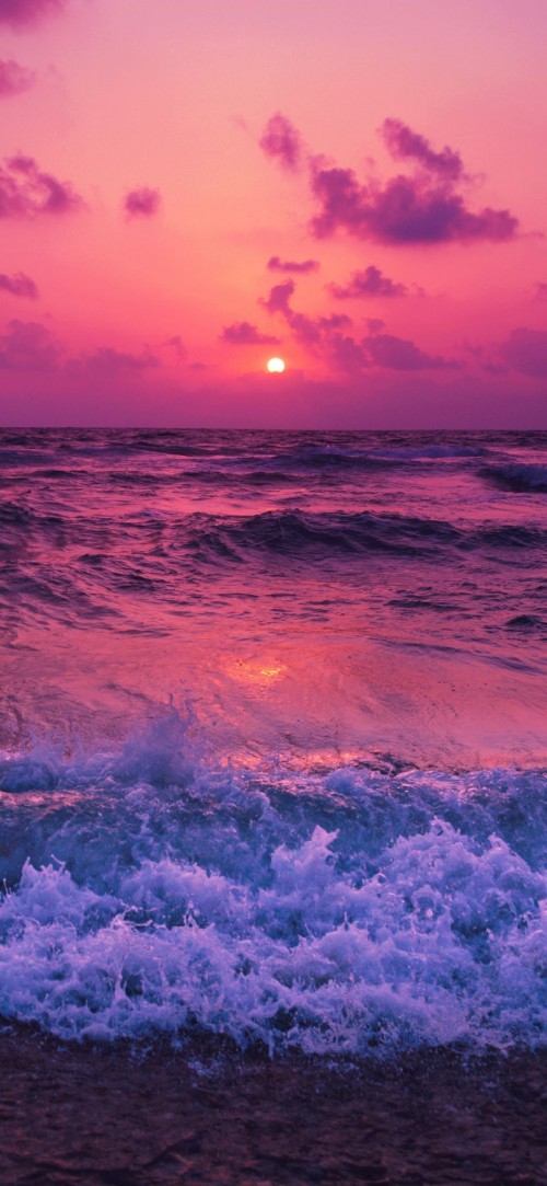 Image sunset, sea, colored, ocean, water