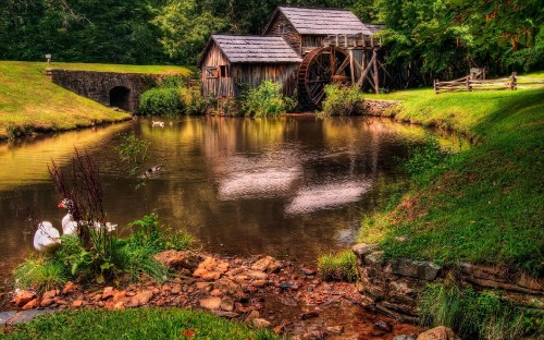 Image brown wooden house beside river during daytime