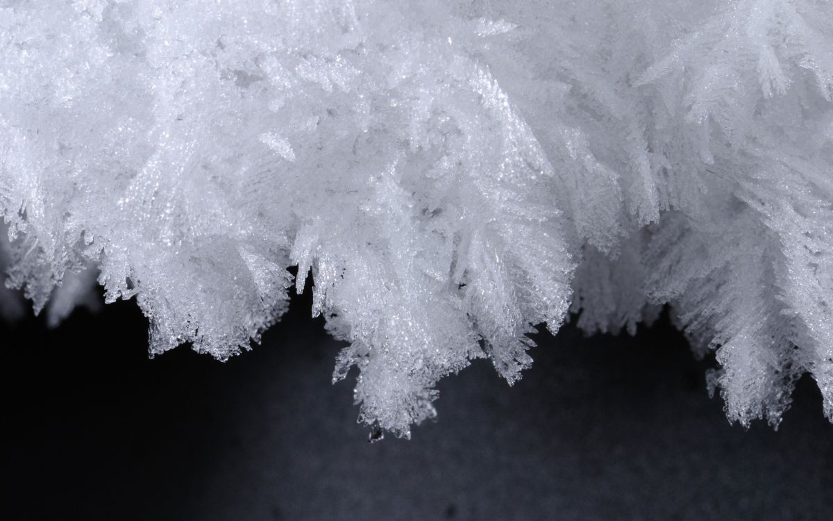 白色, 冻结, 雪花, 黑色和白色的, 形状 壁纸 2560x1600 允许