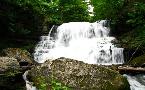 Image water falls on rocky ground