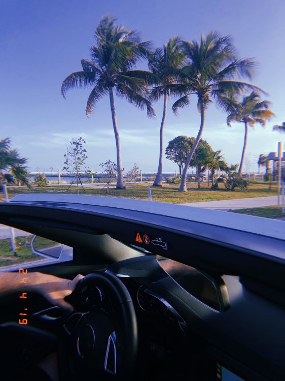 Miami, Réflexion, Roi, Pilotage de la Partie, Verre. Wallpaper in 3024x4032 Resolution