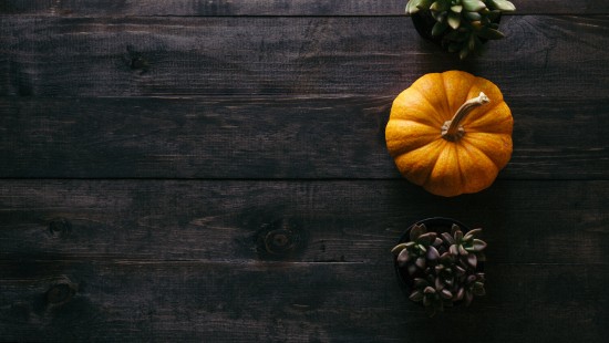 Image thanksgiving, thanksgiving dinner, pumpkin pie, Pumpkin, plant