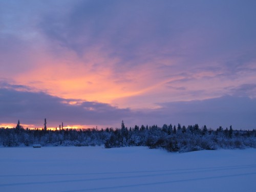 Image trees on snow covered ground during sunset