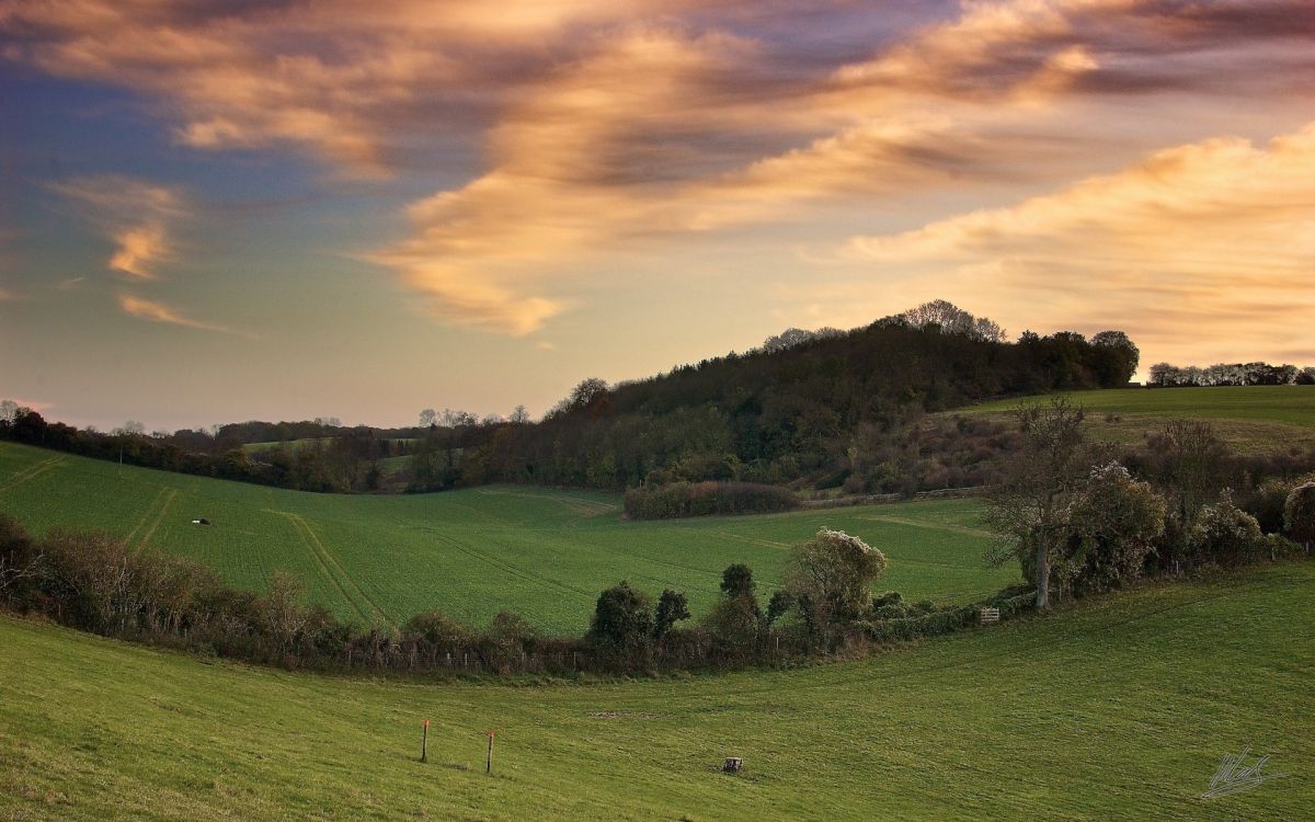 Green Grass Field Under Cloudy Sky During Daytime. Wallpaper in 1920x1200 Resolution