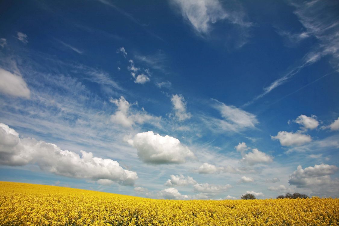 Nuages Blancs et Ciel Bleu Pendant la Journée. Wallpaper in 2577x1718 Resolution