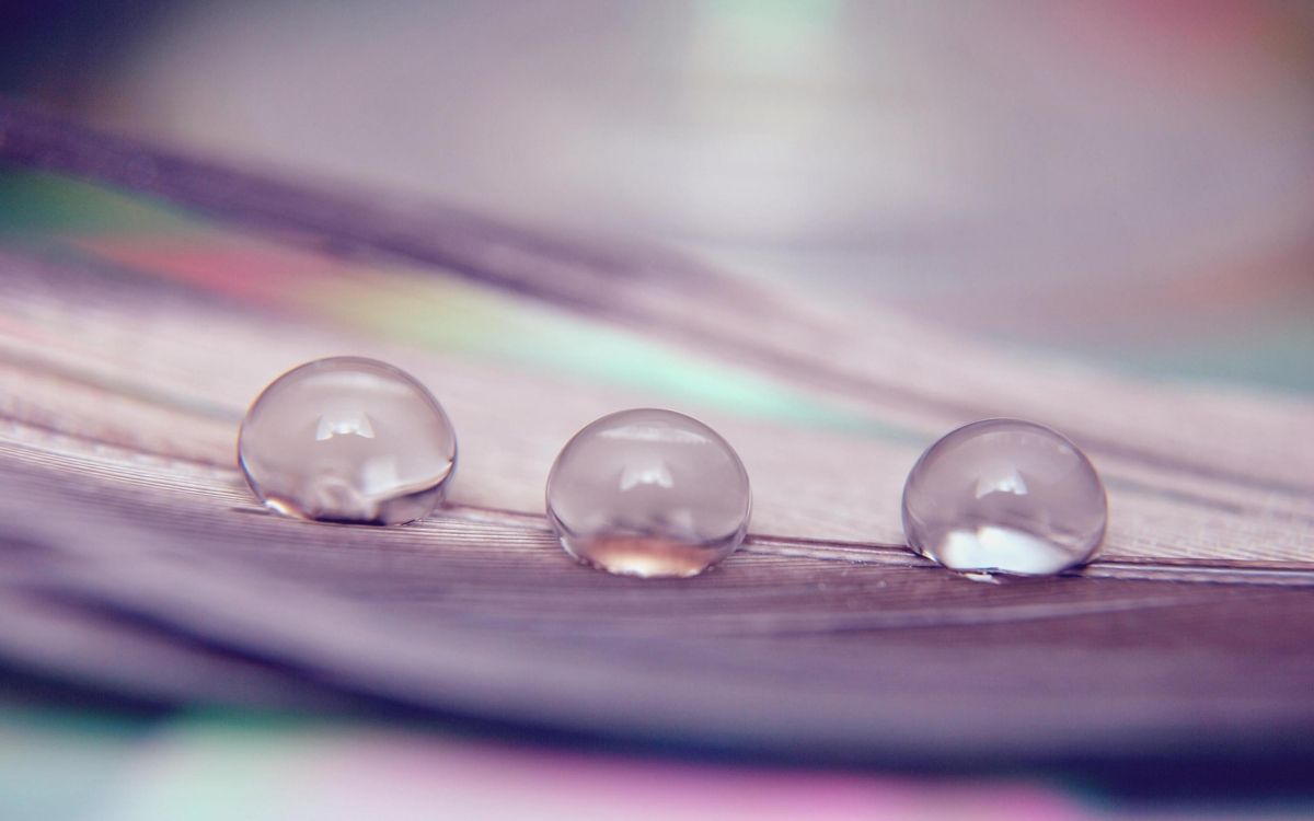 water droplets on purple surface