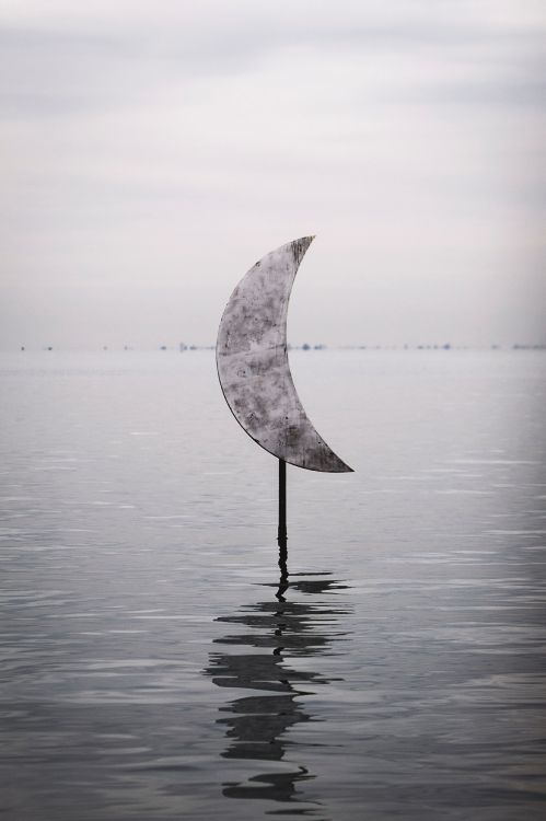 white umbrella on body of water