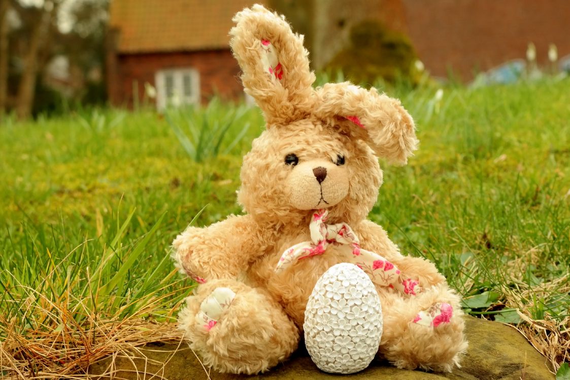 Jouet en Peluche, Lapin, Nounours, Pink, Peluche. Wallpaper in 3732x2491 Resolution