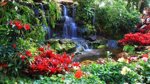 Image water falls with red flowers