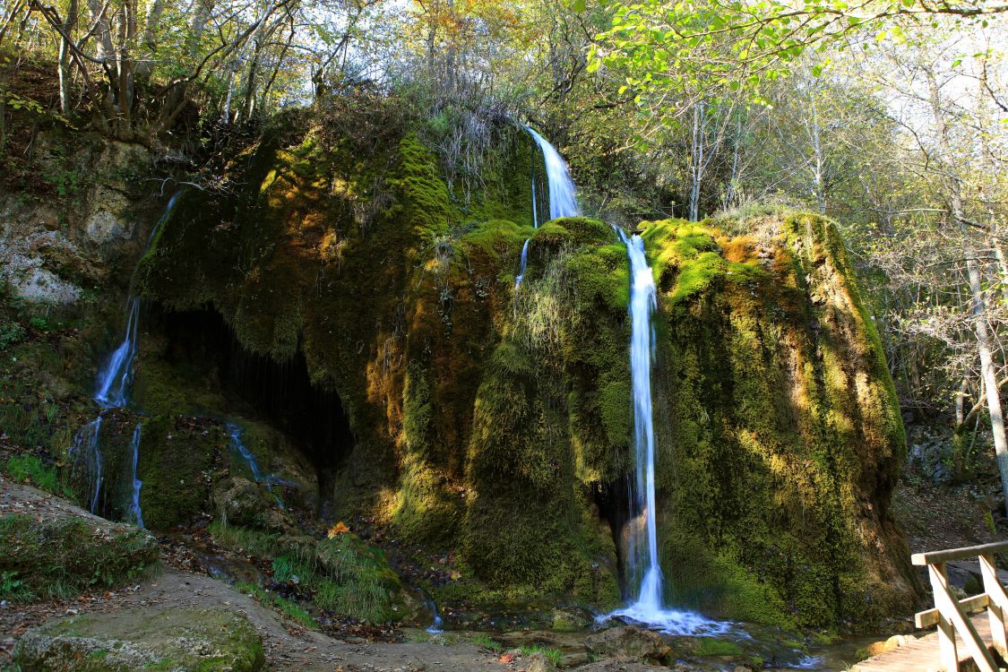 Cascades au Milieu de la Forêt. Wallpaper in 2900x1933 Resolution