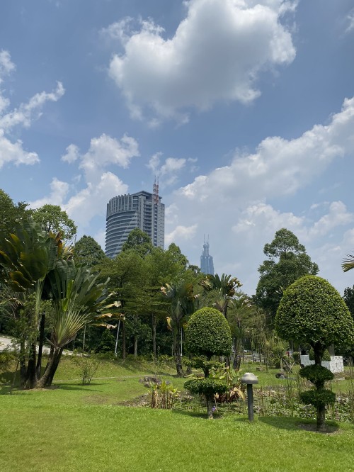 Image vegetation, daytime, cloud, tree, tower block