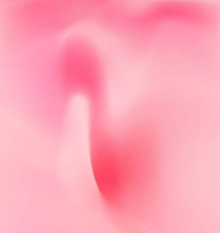 Huawei Nova, Huawei Nova 3, 华为nova 3e, 华为P20精简版, 华为P20 Pro 壁纸 2160x2280 允许