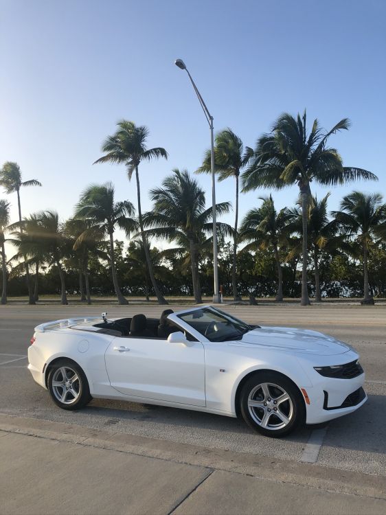 Chevrolet Camaro, Miami, Cabrio, König, Tire. Wallpaper in 1536x2048 Resolution
