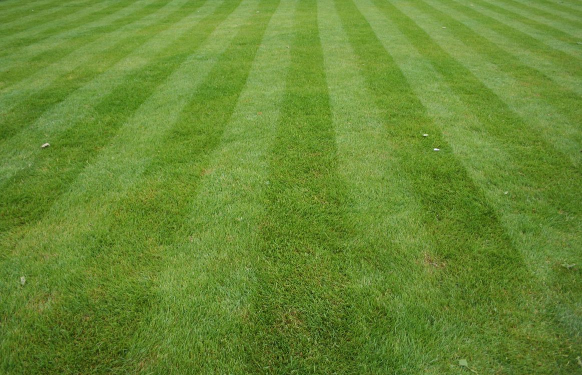 草坪, 人造草坪, 院子里, 绿色的, 草 壁纸 2644x1704 允许