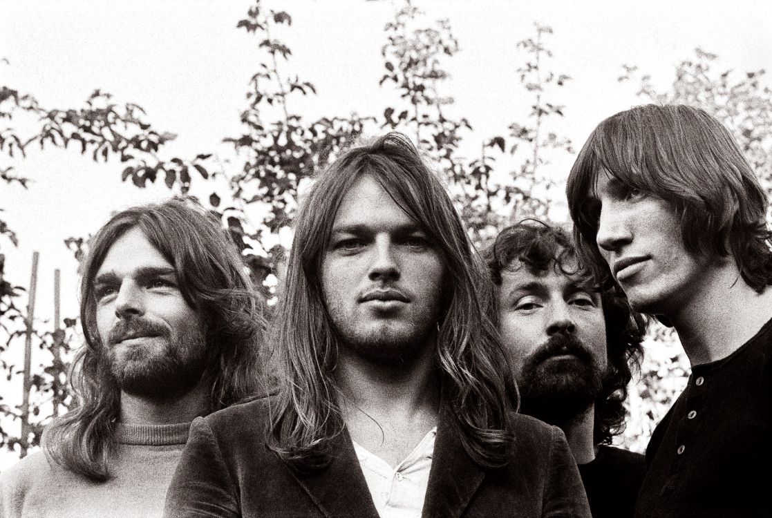 Pink Floyd, Haar, Gesichtsbehaarung, Kehllappen, Mädchen. Wallpaper in 2048x1375 Resolution