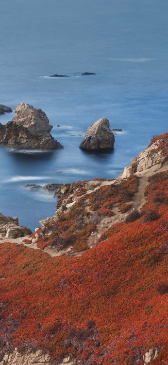 IPhone 12 Pro, IPhone 12 Pro Max, IPhone XS Max, MacOS Big Sur, Apple. Wallpaper in 1242x2688 Resolution